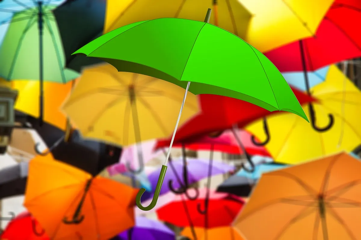 Spring Festival Rain Plan: What to Pack for Outdoor Events